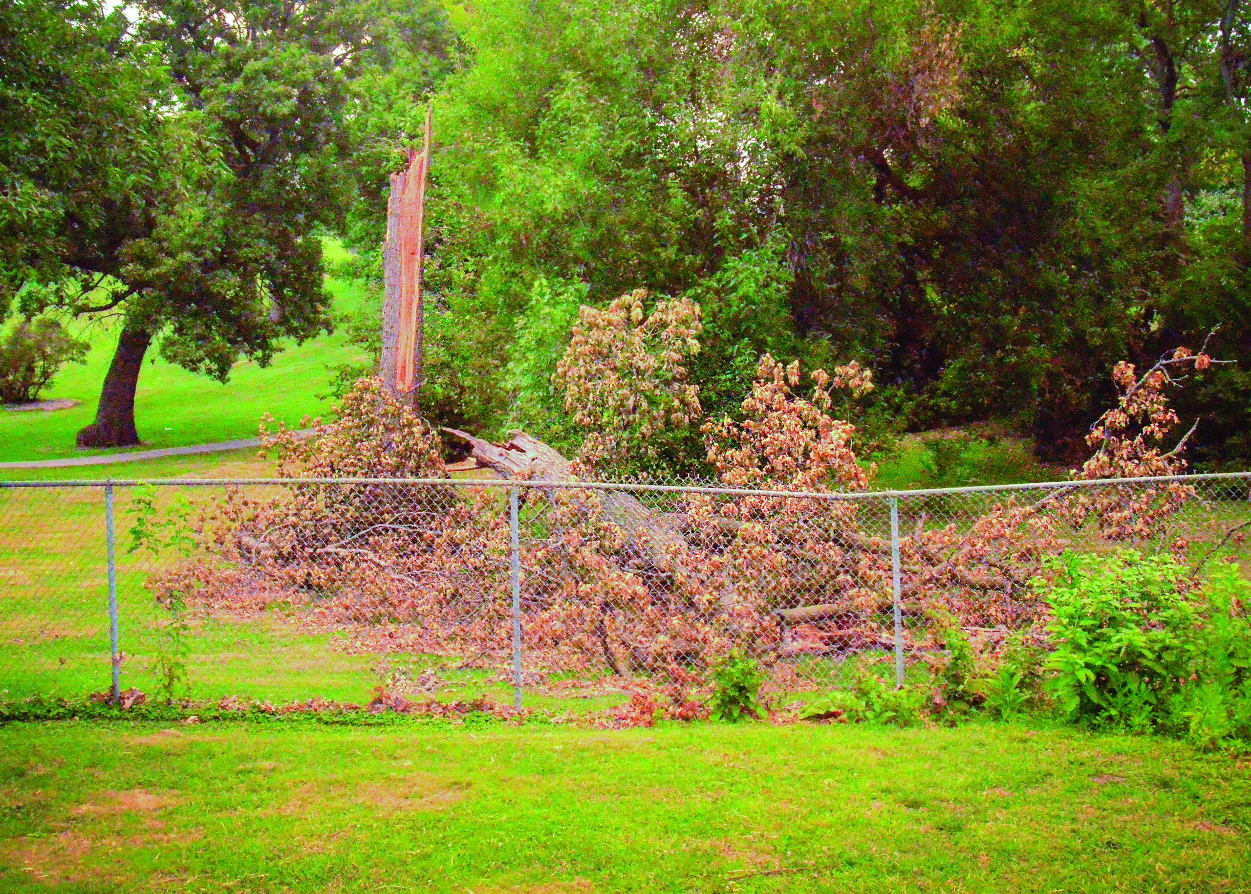 Aftermath of Derecho Storm in Iowa The TimesDelphic