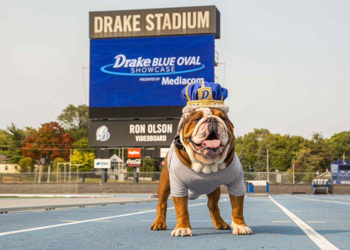 4nd annual Beautiful Bulldog contest commences