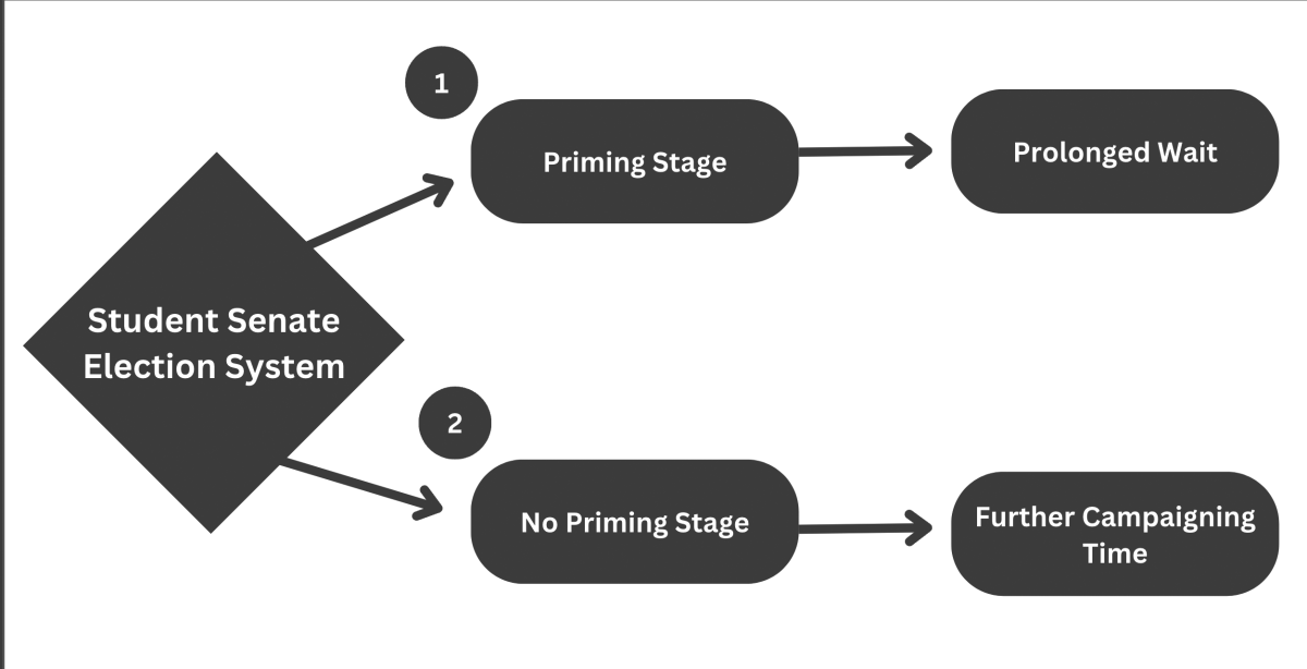 Student Senate eliminates priming stage for campaigning process