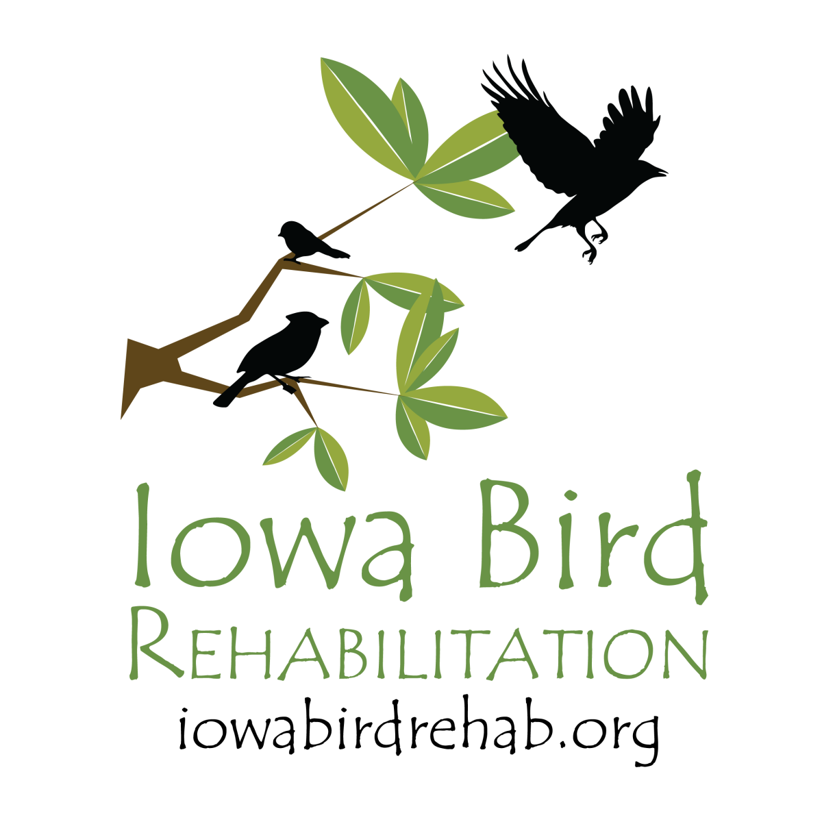 Graphic courtesy of Iowa Bird Rehabilitation in West Des Moines