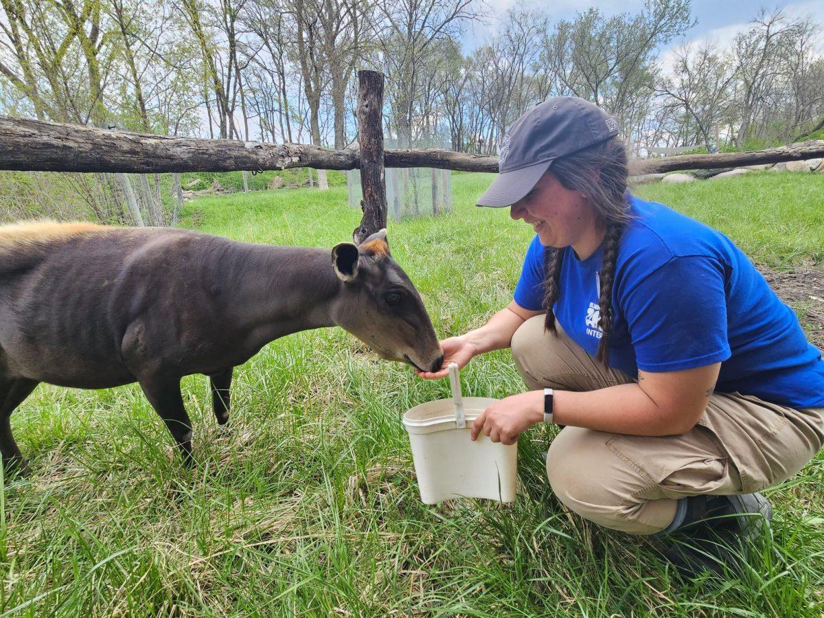 Zoo and Conservation students are able to intern at animal care facilities and spend time working with many different animal species. Photo courtesy of Jenna Baker