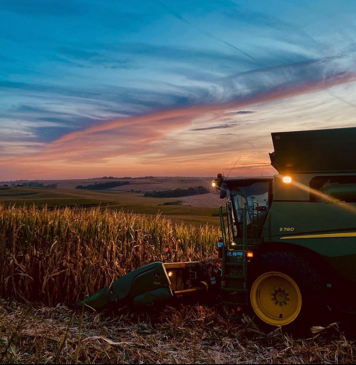 Sustainable Iowa Land Trust's mission statement is to revert back to family farming rather than use row crops. Photo courtesy of Erik Pedersen