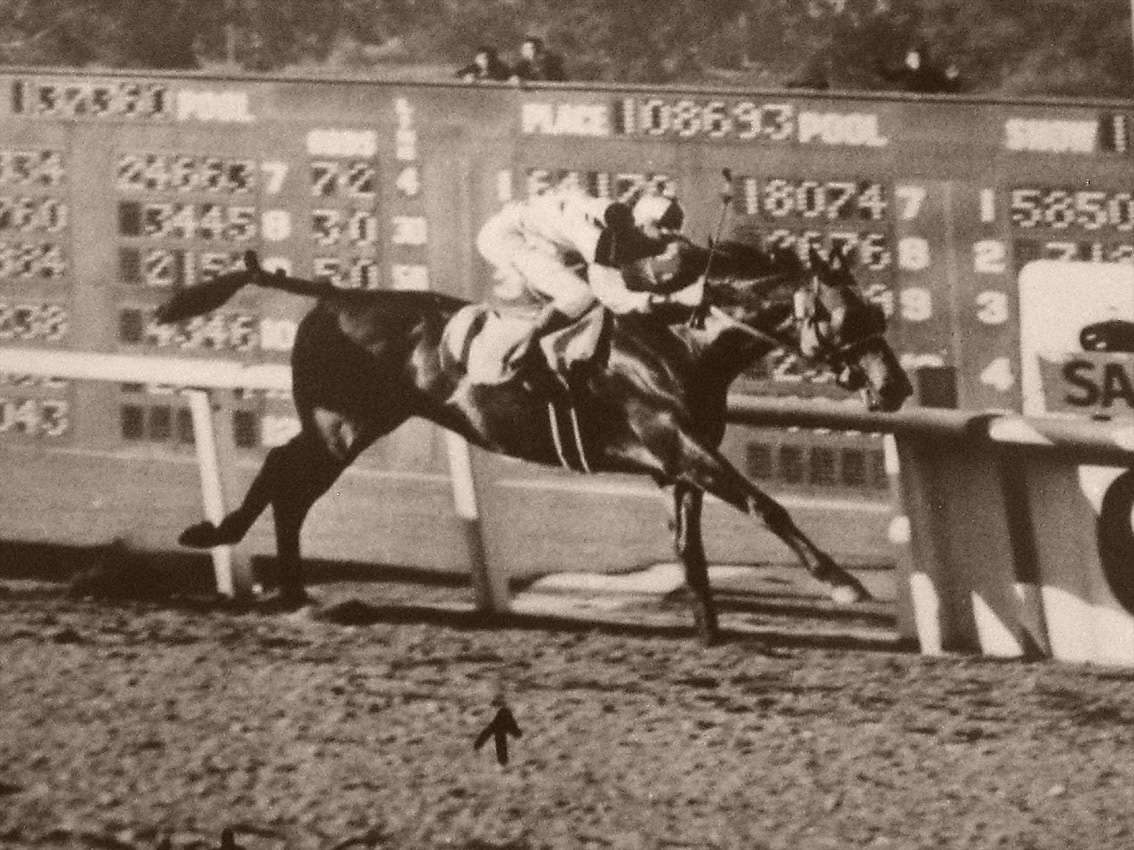 Seabiscuit's journey from wobbly colt to windlike racer had this writer enthralled. The book, “Seabiscuit, an American Legend,” is her favorite sports novel. Photo courtesy of wikimedia.