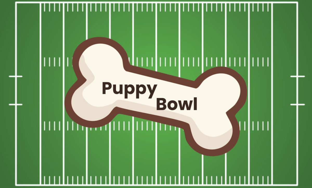 This year's Puppy Bowl featured familiar fur.